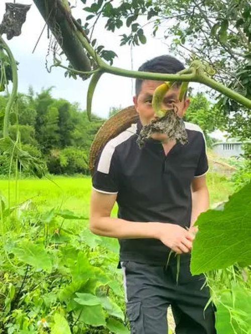 吃瓜大妈素材视频大全高清,趣味横生的日常生活瞬间