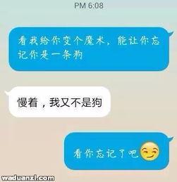 整蛊聊天套路吃瓜视频,吃瓜视频中的欢乐陷阱