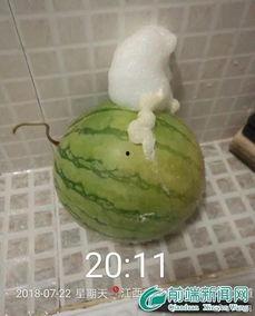 泡泡又困了吃瓜视频假的,真相还是炒作？