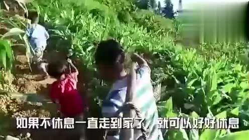 赖克宝吃瓜视频,揭秘娱乐圈幕后故事