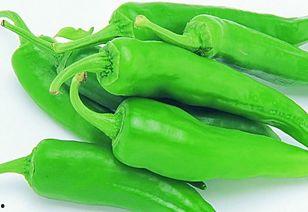 楠瓜喜欢吃辣椒吗视频,揭秘辣椒爱好者背后的故事