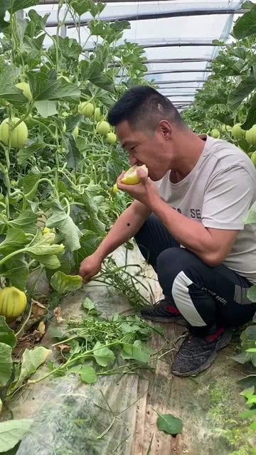 一边摆摊一边吃瓜视频,一边摆摊一边吃瓜的欢乐时光