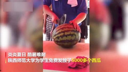 大老师跨年吃瓜视频全集,揭秘娱乐圈幕后风云