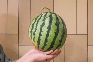 十七度吃瓜视频,揭秘娱乐圈幕后真相