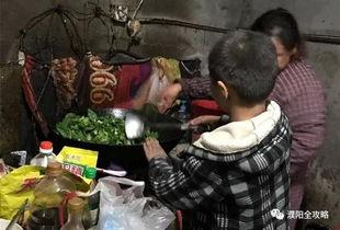 濮阳县吃瓜事件始末视频,一场网络舆论的风波与反思