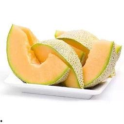 羊吃哈密瓜的后果视频,萌态十足引网友热议