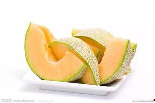 恐龙吃哈密瓜视频,一场跨越时空的美食邂逅