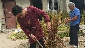 农村吃瓜的视频大全,趣味盎然的乡村生活瞬间