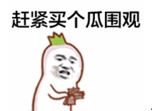 吃瓜甜美视频表情包下载,下载热门吃瓜甜美视频表情，轻松逗趣生活瞬间