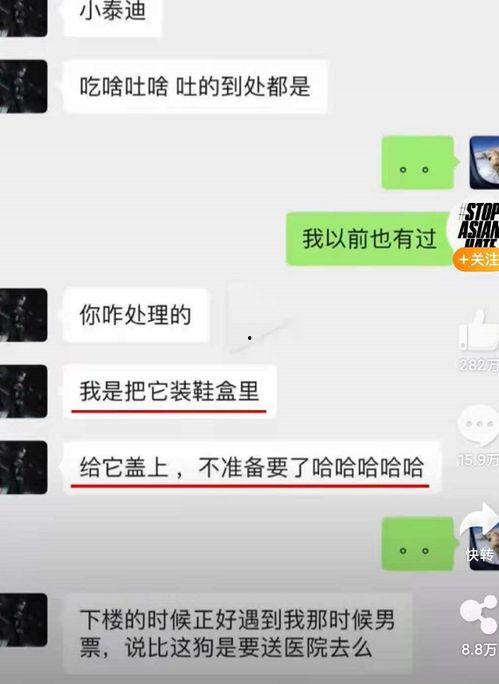 肥乡吃瓜最新视频曝光网站