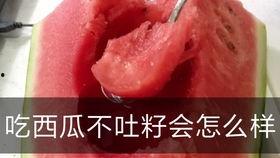 吃瓜不吐籽的下场视频