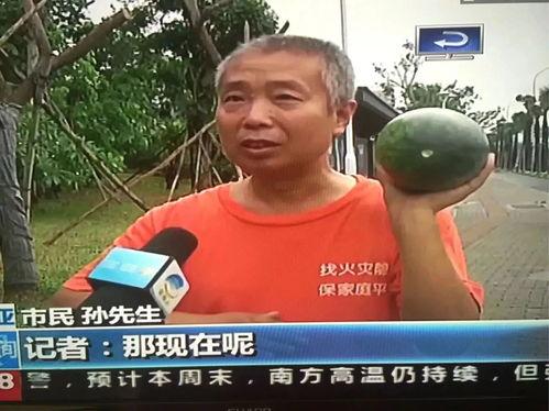 李根吃瓜群众视频,揭秘娱乐圈幕后故事