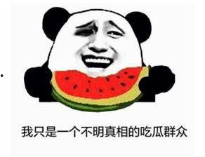 吃瓜群众视频很好看,精彩纷呈，引人入胜